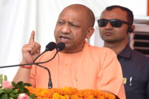 yogi