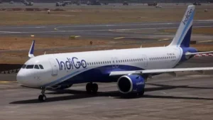 indigo-(3)-1769764050295_v