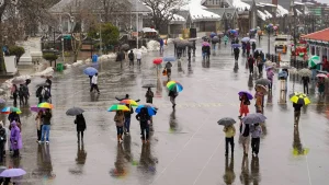 rainfall-1769519869