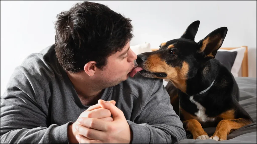 dog-licking-saliva-disease-10-03-2026-1773125603