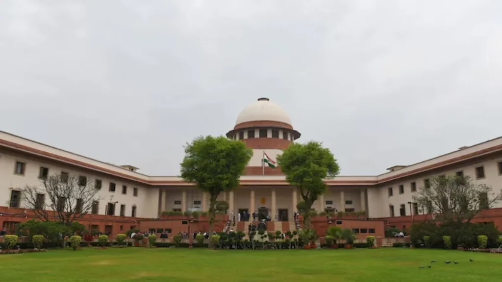 sc-1773132409
