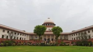 sc-1773132409