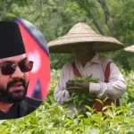 Nepal-tea-(1)-1777373271656_v