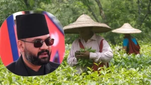 Nepal-tea-(1)-1777373271656_v
