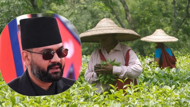 Nepal-tea-(1)-1777373271656_v