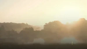 imd-weather-1775879080