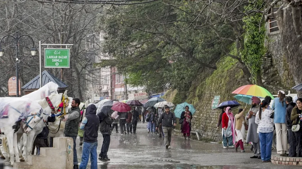 rain-3-1775439102