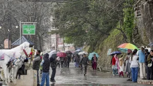 rain-3-1775439102