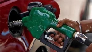 2026_5image_09_13_552013541petrol-ll