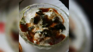 dahi-vada-1777776523