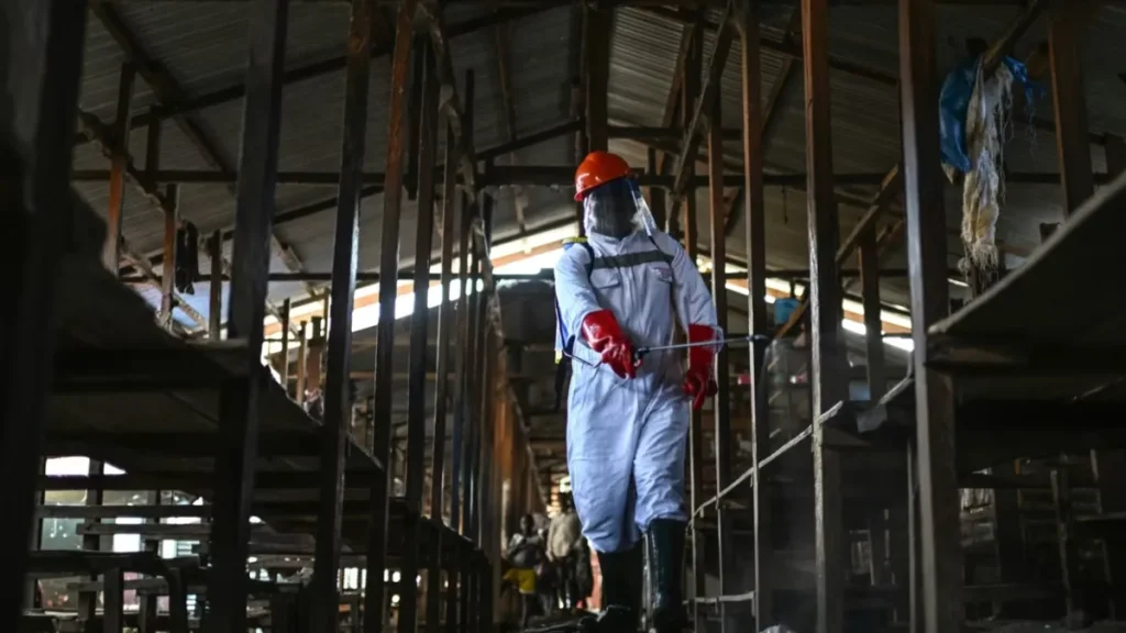 ebola-virus-1779733099