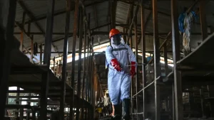 ebola-virus-1779733099