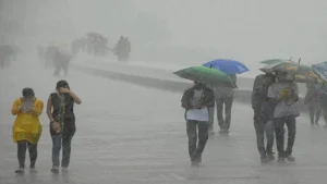 heavy-rain-1779158927