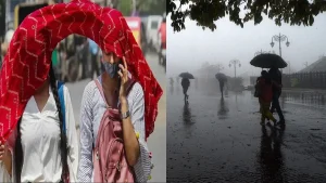 weather-news-updates-1778436276