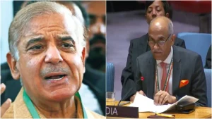india-in-unsc-1780976051