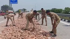 up-police-1781793679