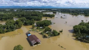 Assam-Flood-1-1_V_jpg--1280x720-4g