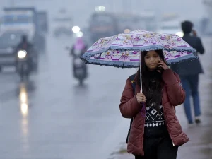 UP_Rain_1769562503059_1769562503