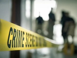 crime_1739924710572_178452516358