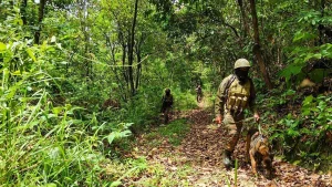 manipur-violence-news_V_jpg--1280x720-4g