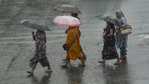 rain-3-1783568253