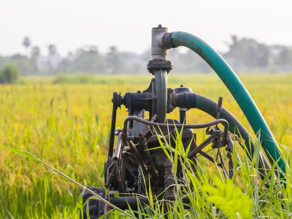 Free_Electricity_for_irrigation_in_bihar_1790727725802_UANT_1790727725959_ylh3_9ad1c839-871b-4d80-941e-4a933e20fcb4_6s8N