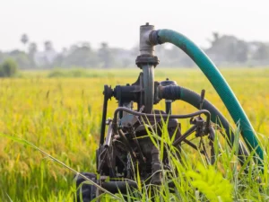 Free_Electricity_for_irrigation_in_bihar_1790727725802_UANT_1790727725959_ylh3_9ad1c839-871b-4d80-941e-4a933e20fcb4_6s8N