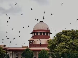 Supreem (2)