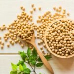 प्रोटीन का पावरहाउस है सोयाबीन! शाकाहारी लोगों के लिए बेहतरीन विकल्प, जानिए सेवन का सही तरीका और फायदे