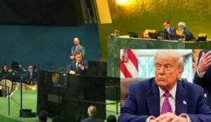 quba